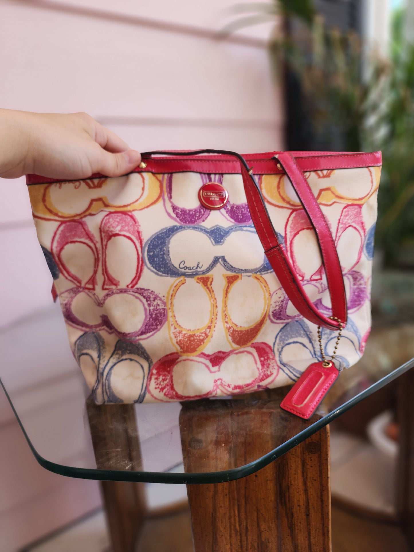 Y2K Coach Purse