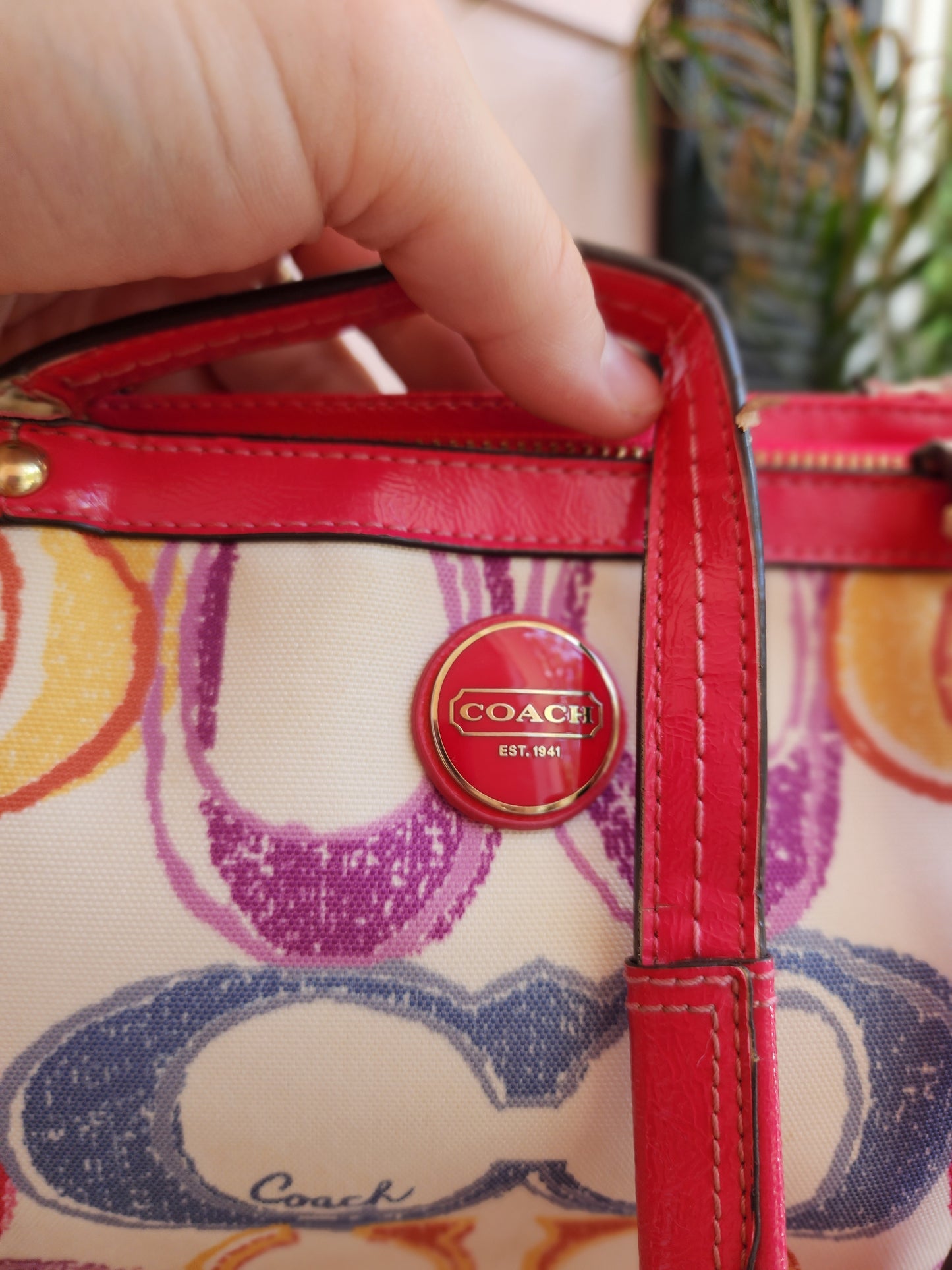 Y2K Coach Purse