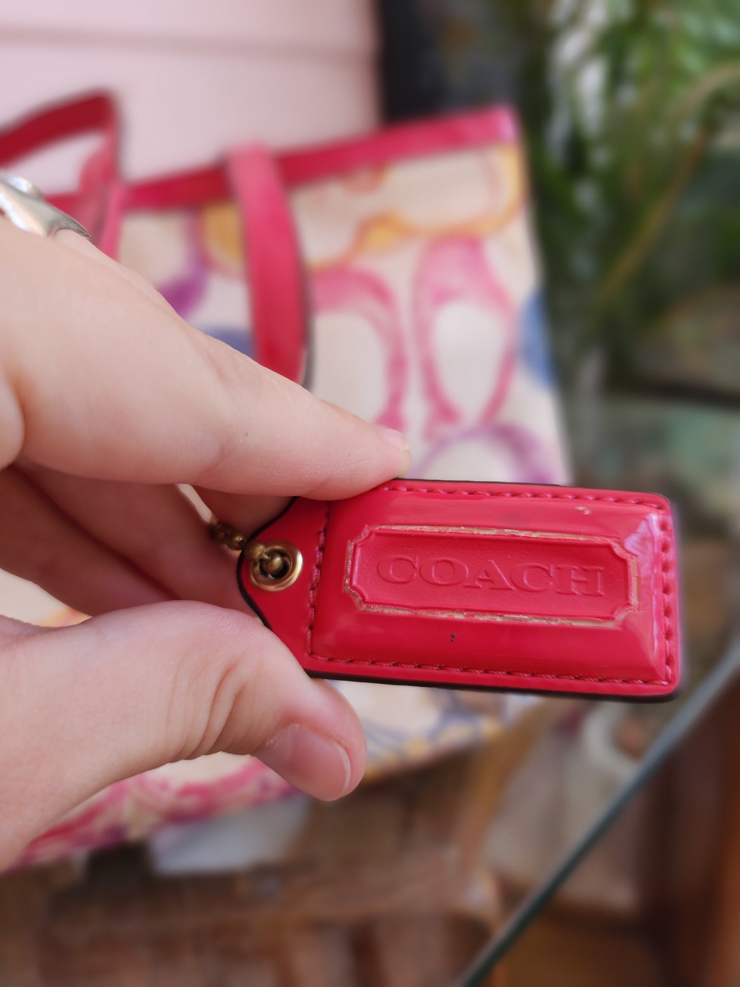 Y2K Coach Purse