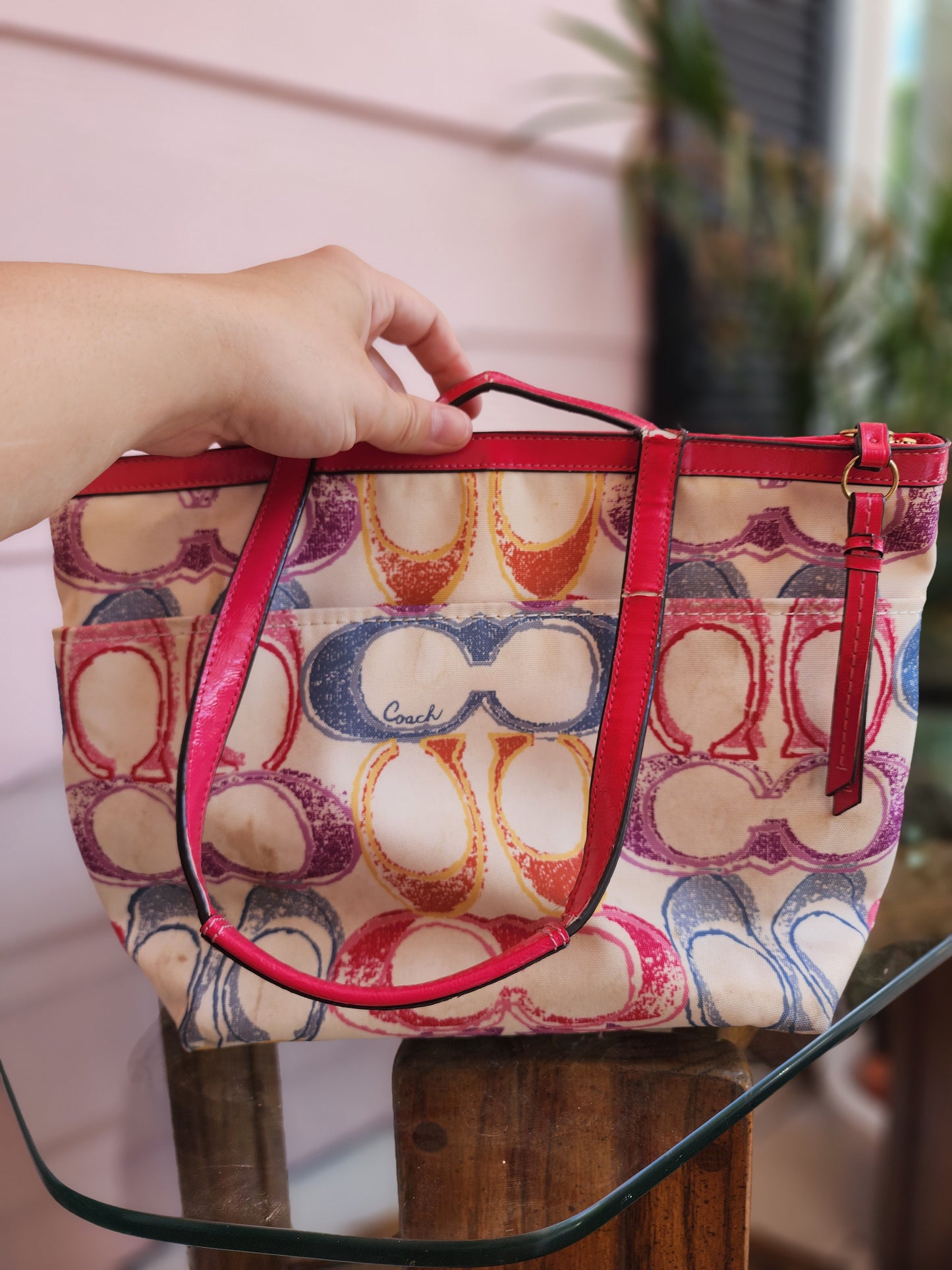 Y2K Coach Purse