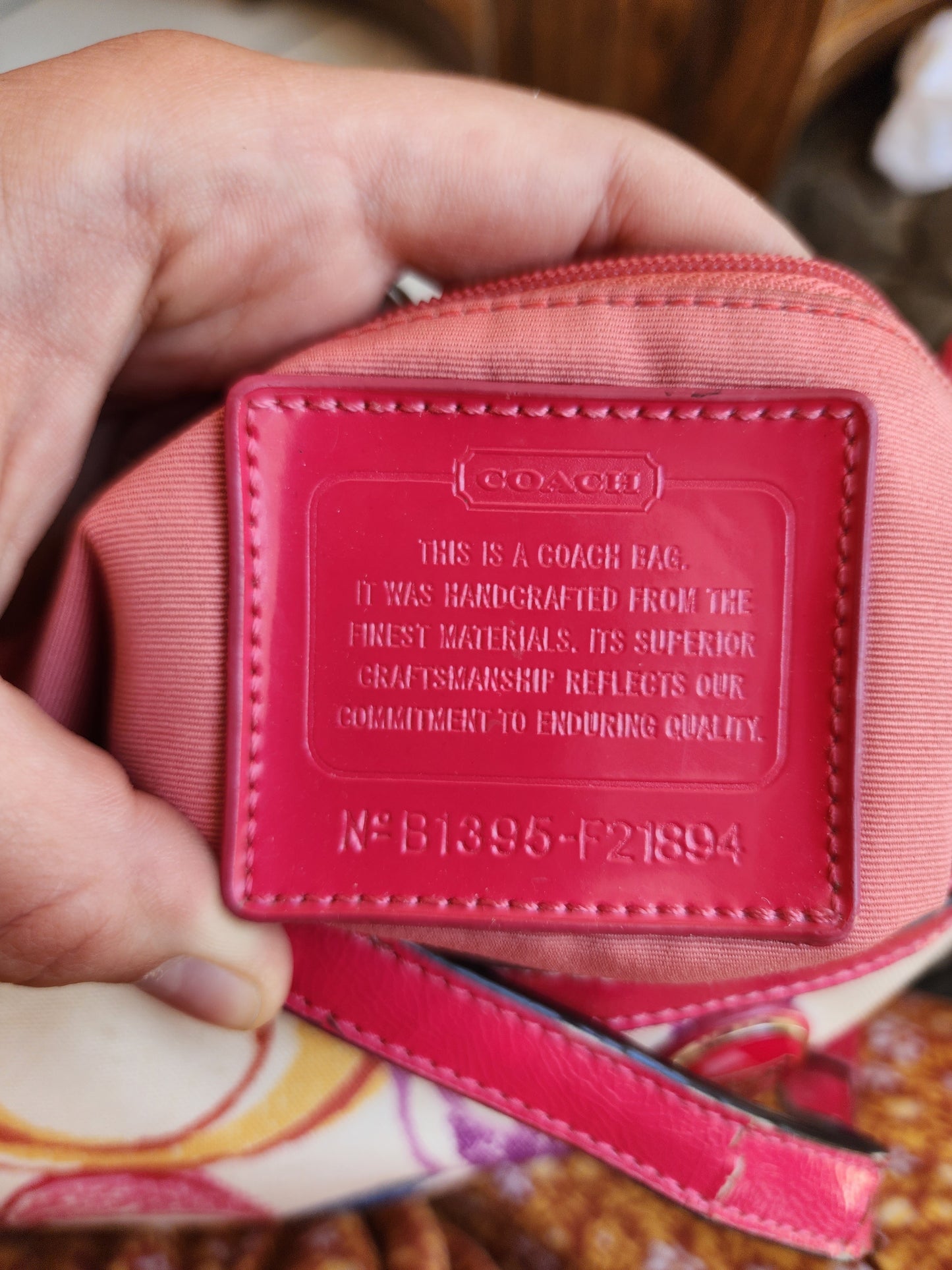 Y2K Coach Purse