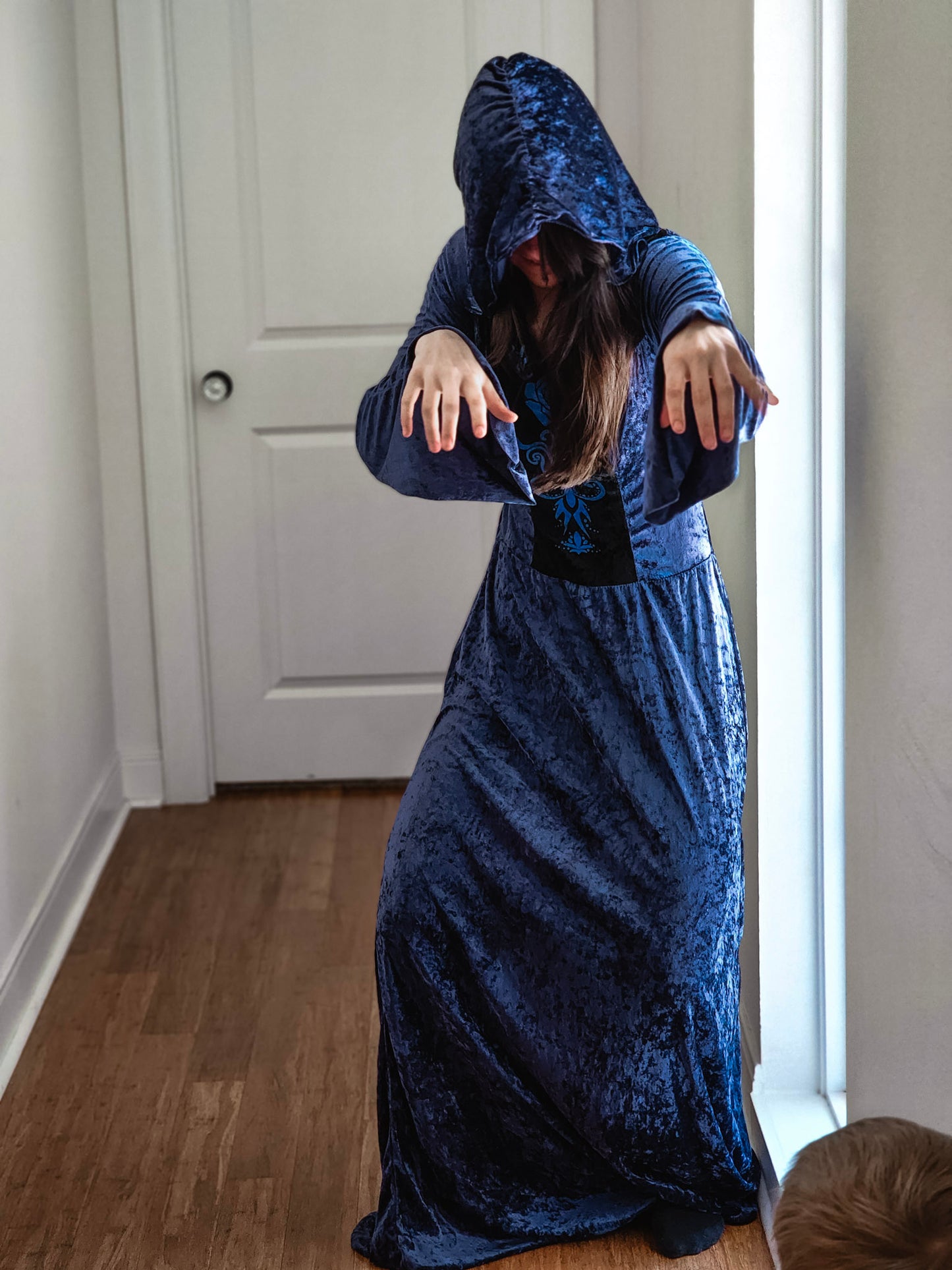 Velvet Hooded Dress | S