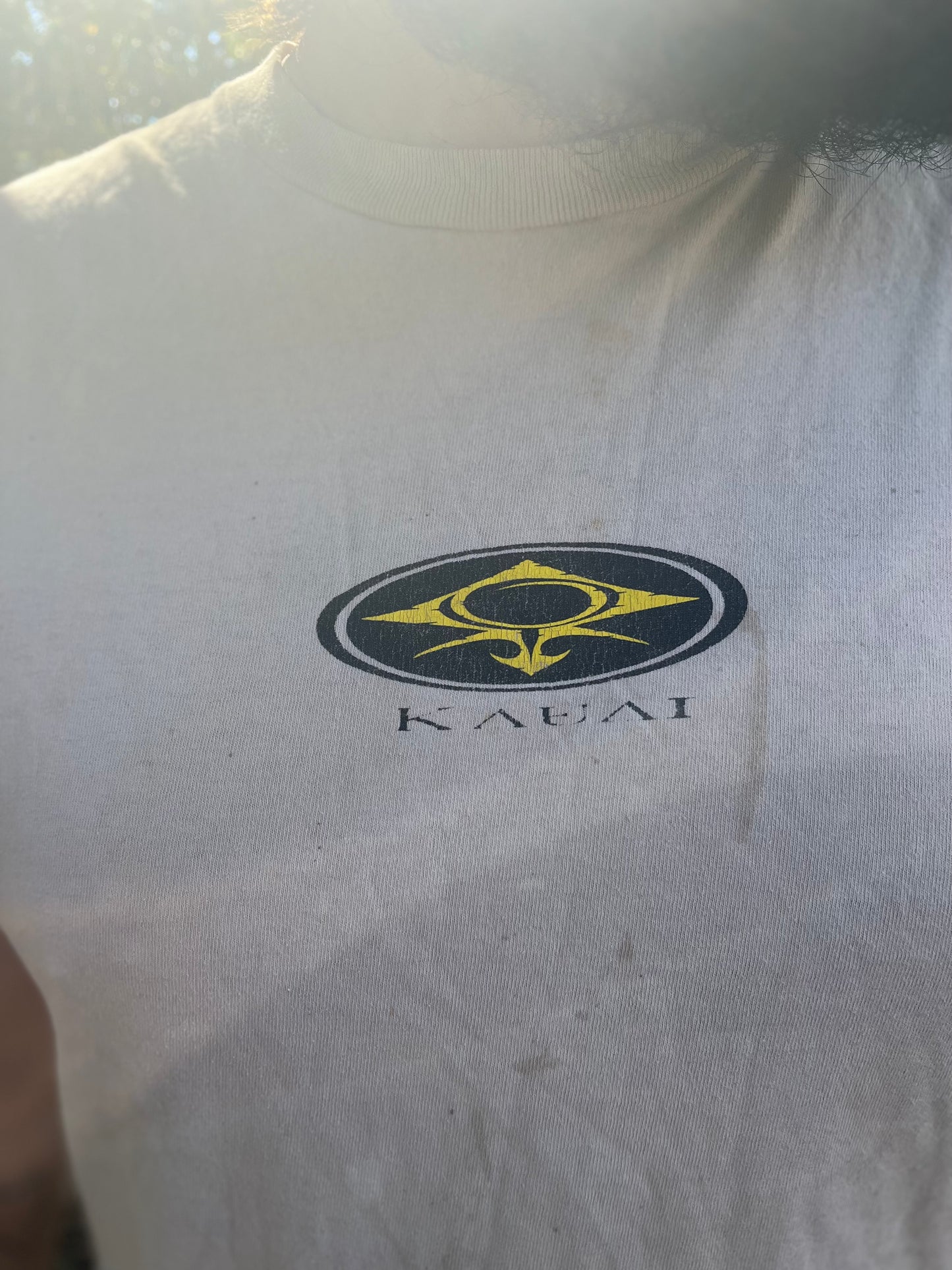Tan Kauai Graphic Tee